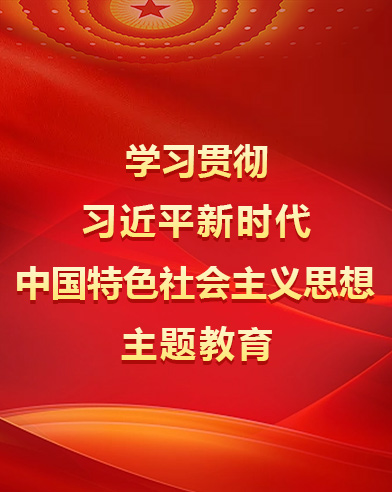 學(xué)習(xí)貫徹習(xí)近平新時代中國特色社會主義思想主題教育